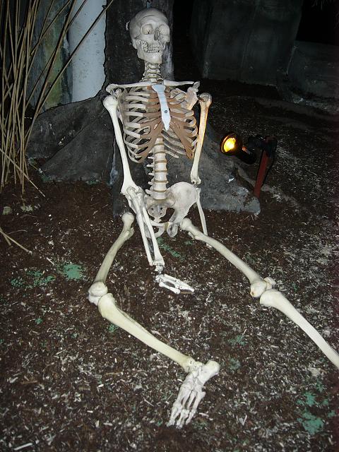 Vytvořeno: 24. února 2007 11:07:30