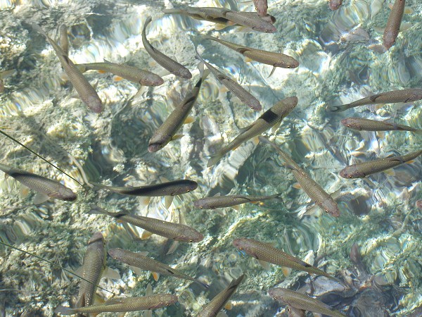 Vytvořeno: 5. července 2007 10:56:05 