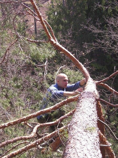 Vytvořeno: 26. dubna 2007 19:59:35 