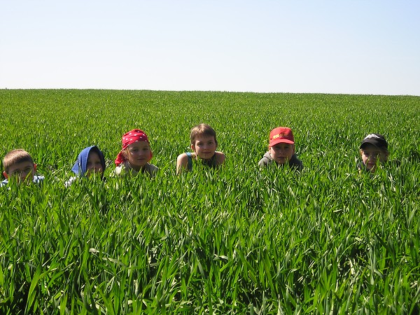 Vytvořeno: 26. dubna 2007 19:59:04 