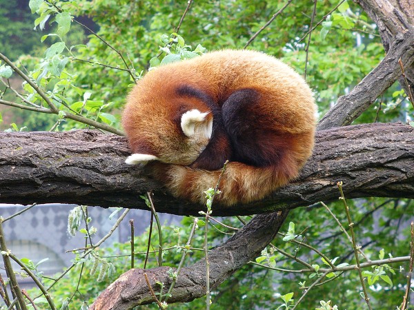 Vytvořeno: 6. května 2007 15:42:02 