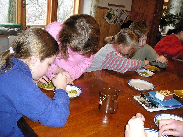 Vytvořeno: 24. ledna 2008 20:59:31 