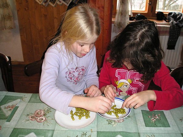 Vytvořeno: 24. ledna 2008 20:59:32 