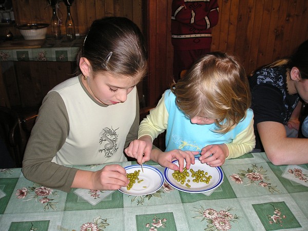 Vytvořeno: 24. ledna 2008 20:59:32 