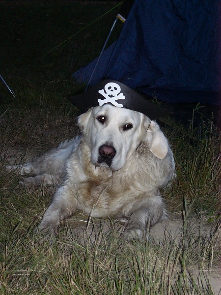 Vytvořeno: 17. července 2007 19:44:40 