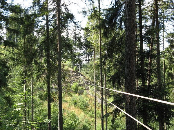 Vytvořeno: 25. července 2007 15:44:29 