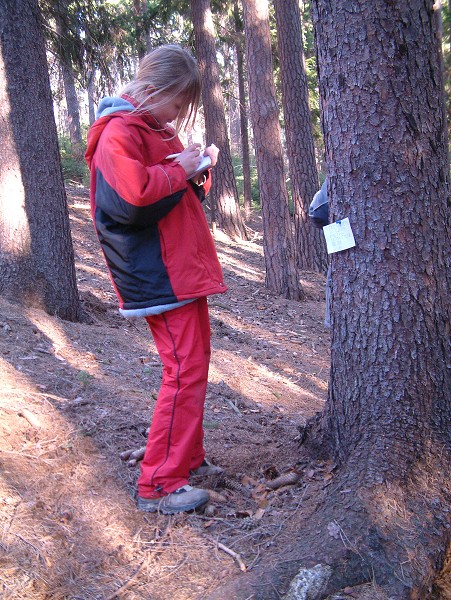 Vytvořeno: 15. března 2008 15:26:20 