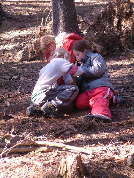 Vytvořeno: 15. března 2008 15:31:51 