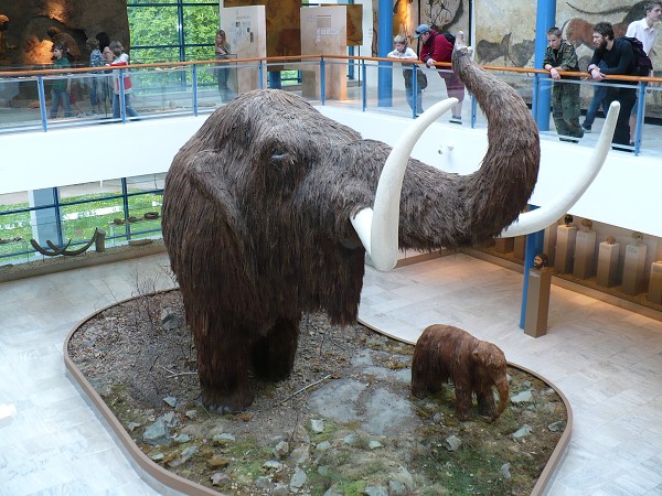 Moravský kras - 1.-4. 5. 2008