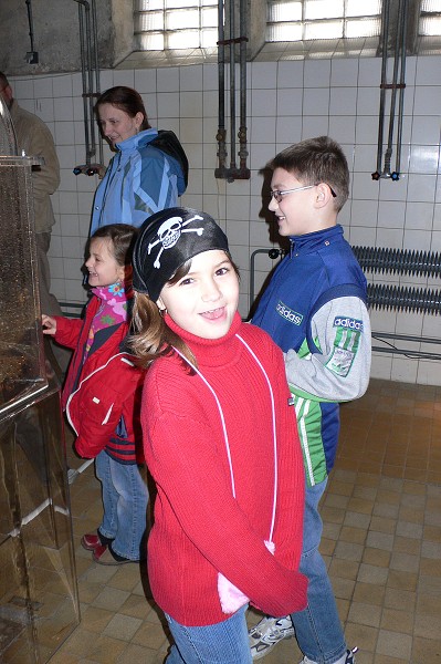 Vytvořeno: 29. března 2008 10:15:51 