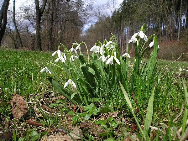 Vytvořeno: 24. března 2008 20:44:15 