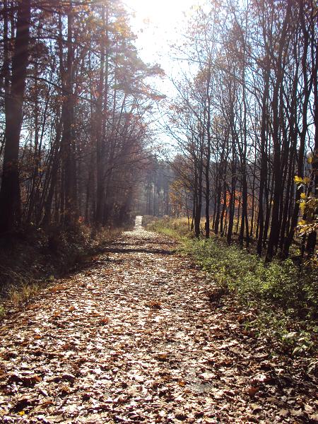 Hošťálkovice 13.-15. 11. 2009