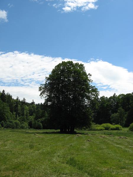 Loukovaná - 12.-14.6.2009