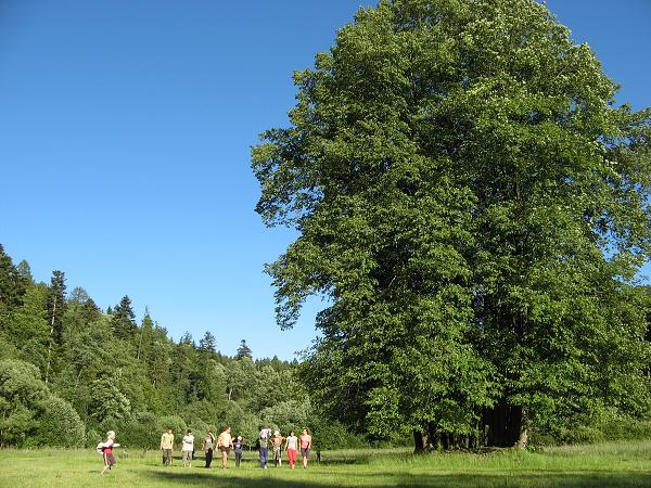 Loukovaná - 12.-14.6.2009