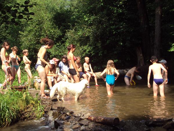 LT 2009 - 1.-18.7.2009