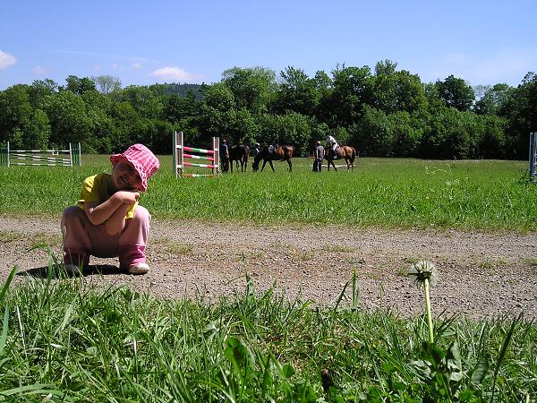 Olšovec - turnaje 15.-17.5.2009