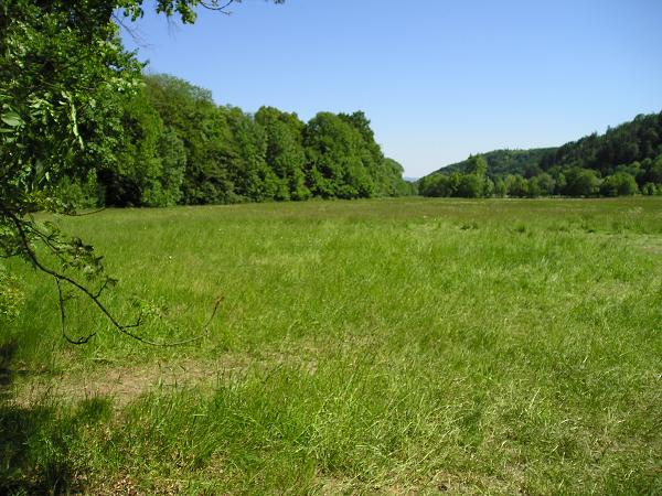 Olšovec - turnaje 15.-17.5.2009