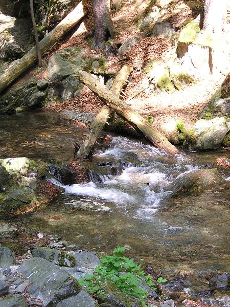 Rychlebské hory - 1.-3. 5. 2009