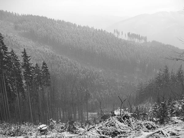 Výšlap na SMRk - 12. 12. 2009