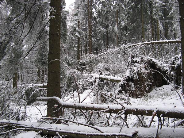 Výšlap na SMRk - 12. 12. 2009