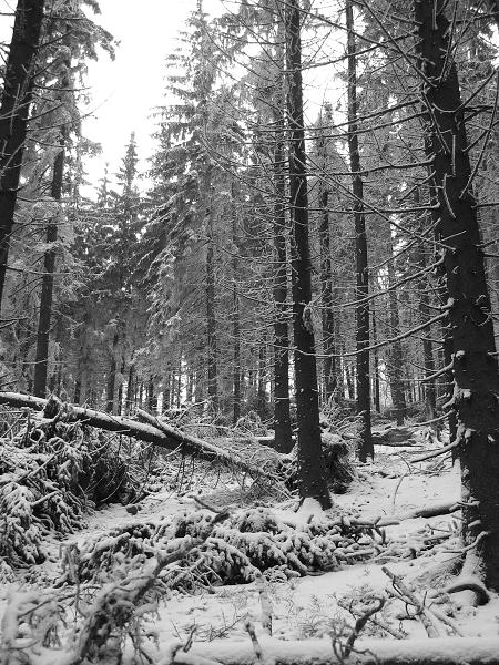 Výšlap na SMRk - 12. 12. 2009