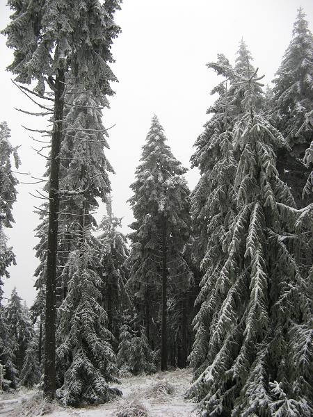 Výšlap na SMRk - 12. 12. 2009