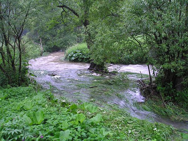 Stavění LT 2009 - 26.-28. 6. 2009