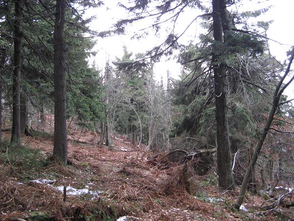 Výšlap s rodiči - 27. 12. 2009