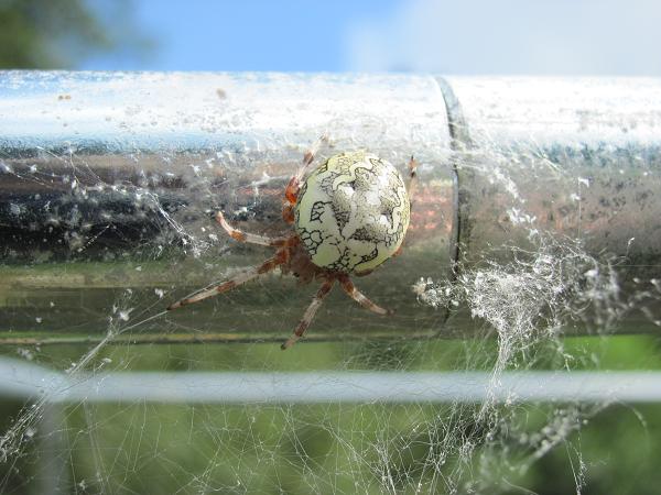 Bourání LT - 27.-29.8.2010