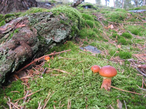 Jakartovice - 10.-12. 9. 2010