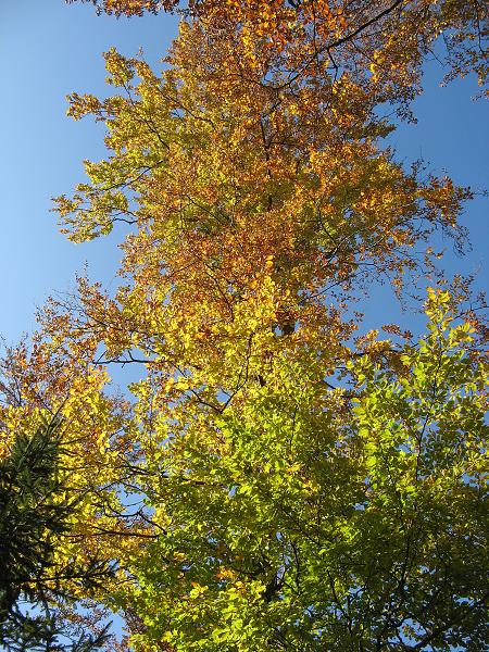 Kněhyně - 10. 10. 2010