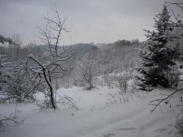 Kusalíno - 12.-14. 3. 2010