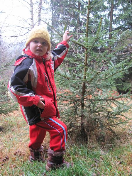 Polana - 19.-21. 11. 2010