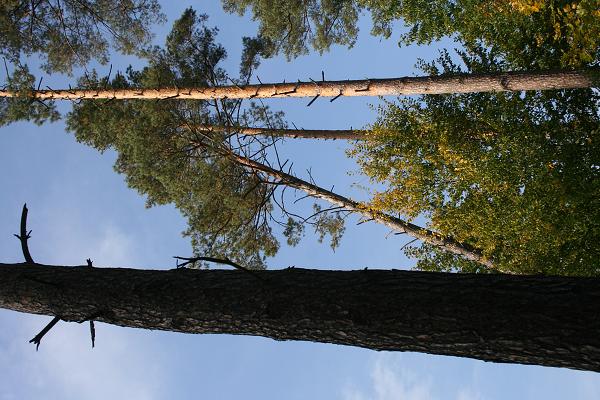 Sraz ABC - 24.-26. 9. 2010