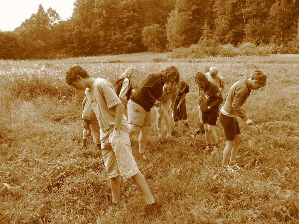 LT Čermná ve Slezsku - 3.-17. 7. 2010