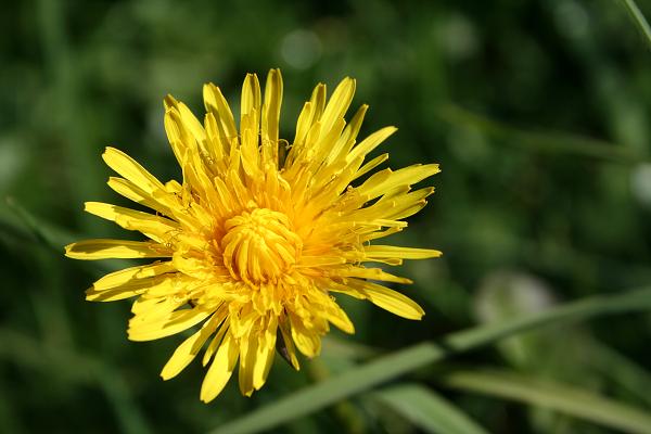 Čeladná 14.-16.10.2011