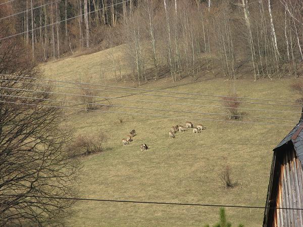 Holčovice - 25.-27.3.2011