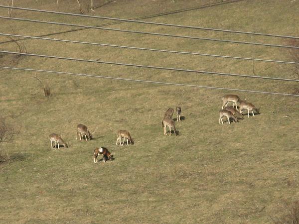 Holčovice - 25.-27.3.2011