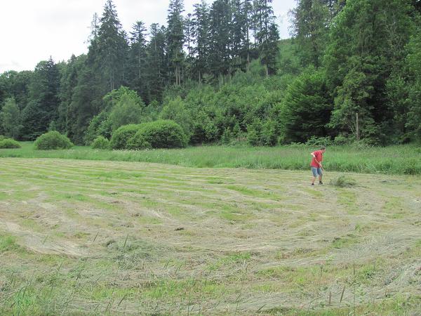 Loukovaná (Stela a Maruška) - 18.-19.6.11
