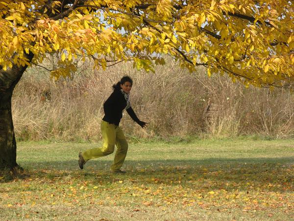 Pevnost - 4.-6.11.2011