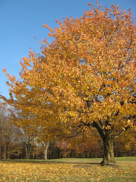 Pevnost - 4.-6.11.2011