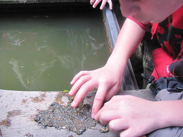 p. tábor Jeseníky -26.-30.10.2011