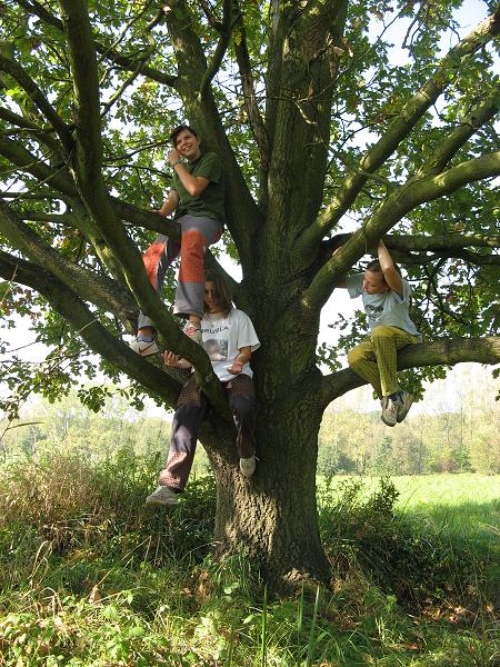 Rodičovská - 2.10.2011