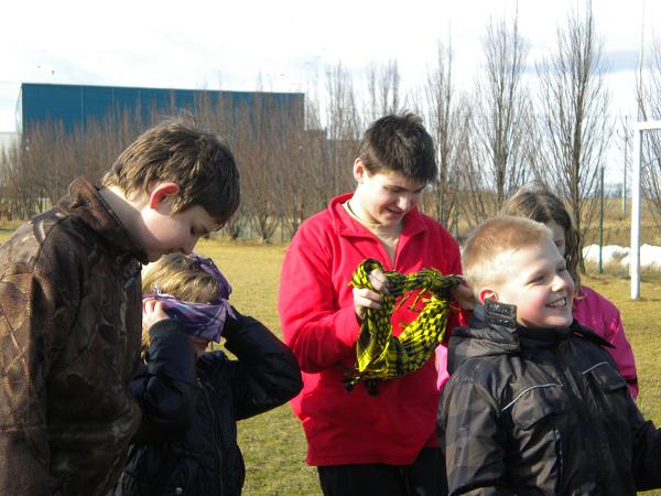 Bolatice - 24.-26.2.2012