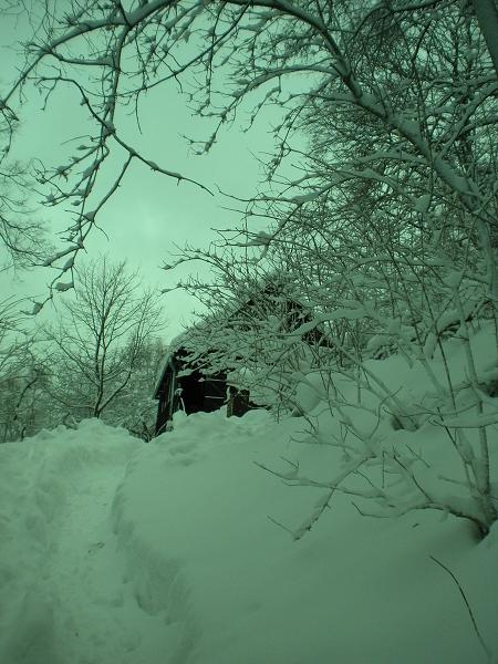 Kusalíno - 20.-22.1.2012