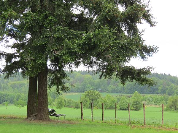 Vršovice - 11.-13. 5. 2012