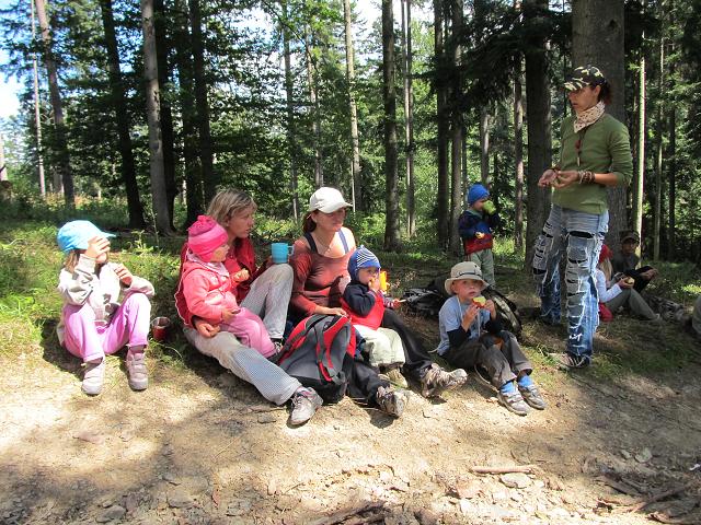 LT medvíďata - 10.-17.8. 2013