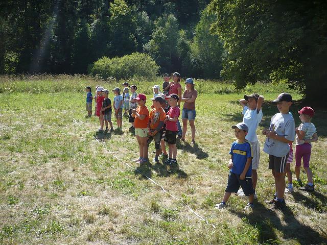 LT medvíďata - 10.-17.8. 2013