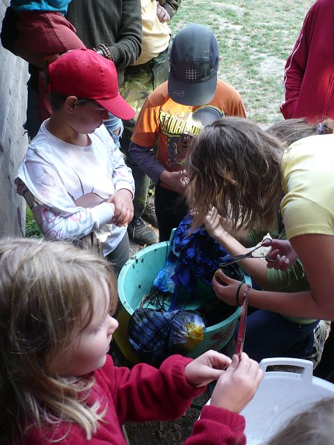 LT medvíďata - 10.-17.8. 2013