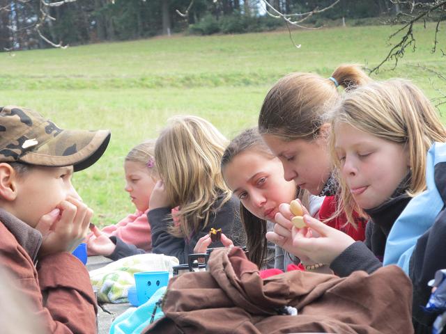 Podzimní tábor Polana - 26.-30.10.2013